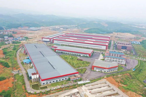 大龙开发区 完善产业链形成新材料产业集群